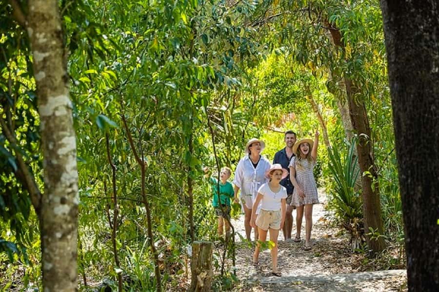 From Airlie: Whitsundays and Whitehaven Half-Day Cruise - The best part: up to 2 hours on the southern end of Whitehaven Beach