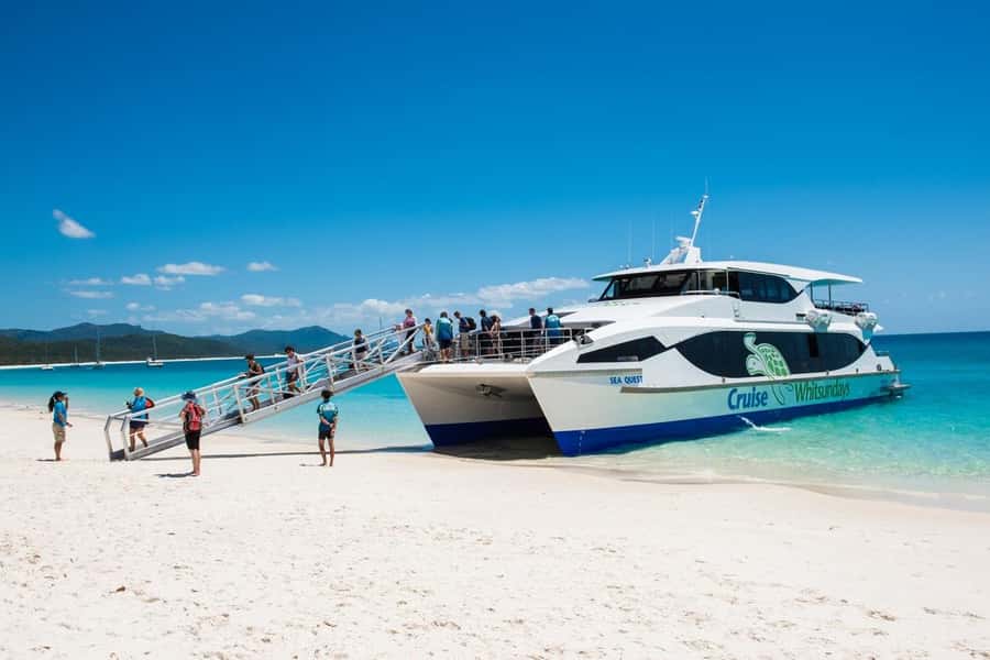 From Airlie: Whitsundays and Whitehaven Half-Day Cruise - Tea, food, and the small comforts that make a tour feel smoother