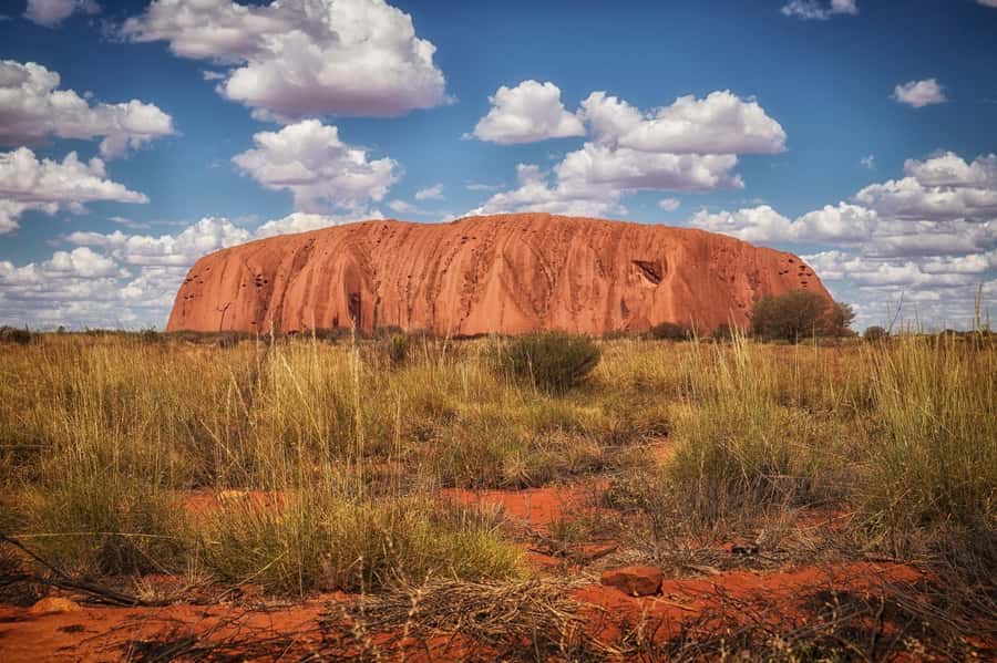 From Alice Springs: Day Trip to Uluru with BBQ Dinner - Key highlights worth getting excited about