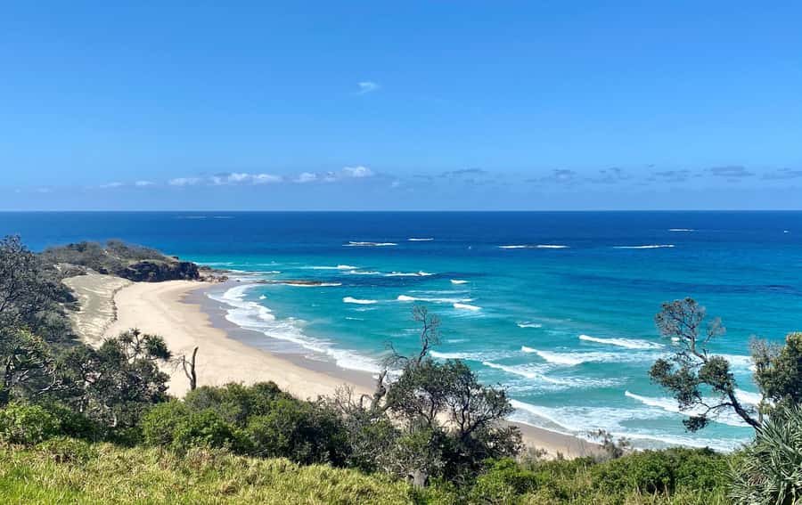 From Brisbane: North Stradbroke Island Wildlife Adventure - Key highlights