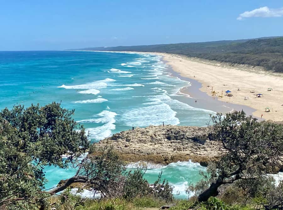 From Brisbane: North Stradbroke Island Wildlife Adventure - North Stradbroke Island: a whole different rhythm from Brisbane