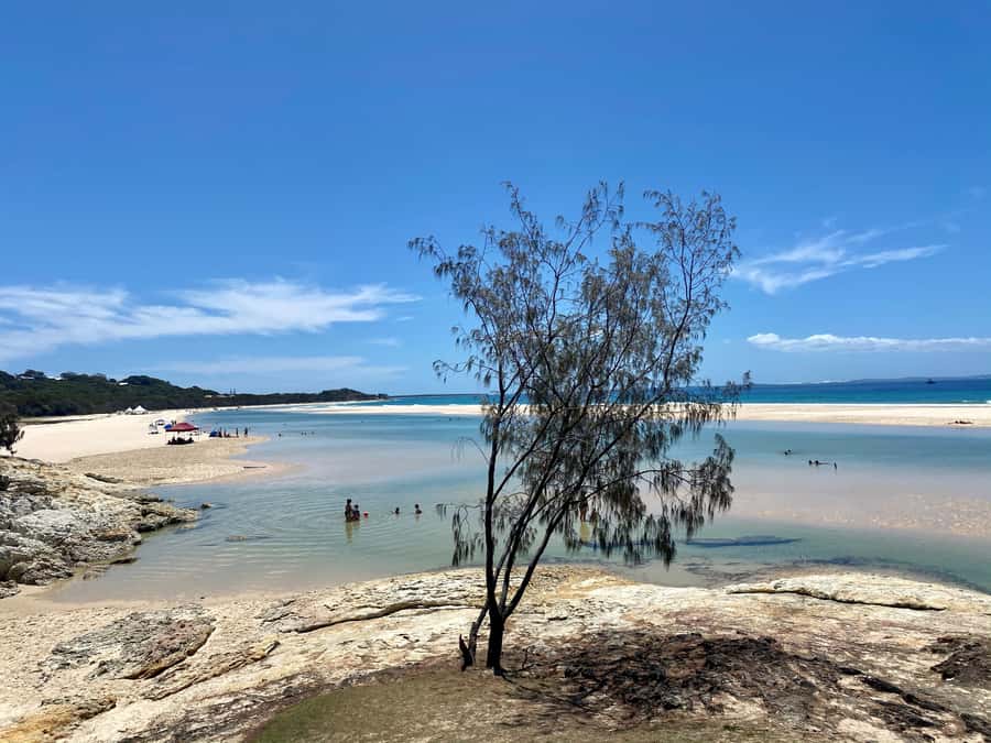 From Brisbane: North Stradbroke Island Wildlife Adventure - Getting there from Adina Apartment Anzac Square (and starting smart)