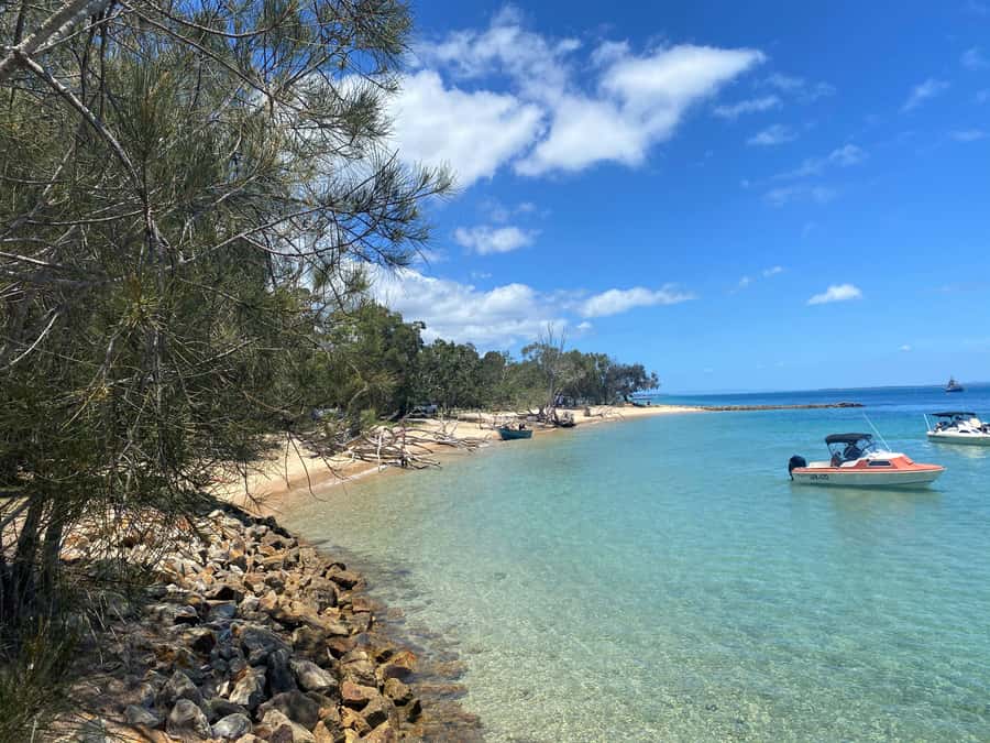 From Brisbane: North Stradbroke Island Wildlife Adventure - The Gorge Walk: the star of the day for sea views and animal chances