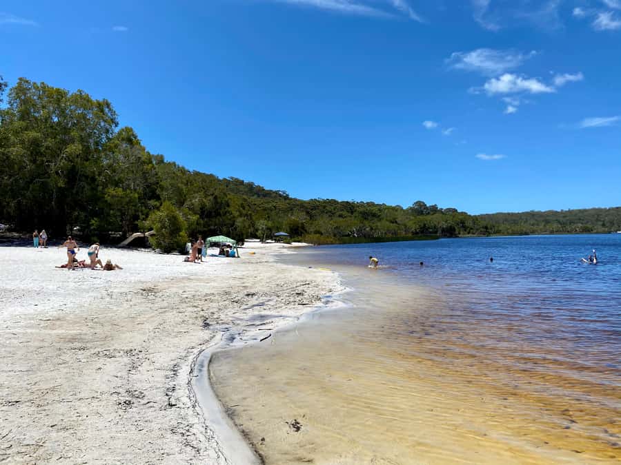 From Brisbane: North Stradbroke Island Wildlife Adventure - Point Lookout lunch break: use it for food and a breather