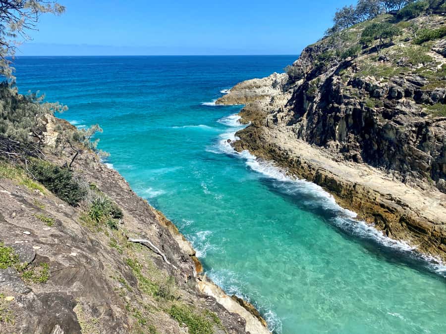 From Brisbane: North Stradbroke Island Wildlife Adventure - Price and value: what $105 buys you on the island
