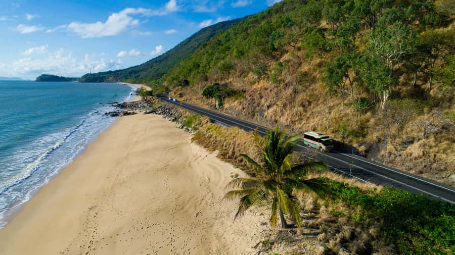 From Cairns: Daintree Rainforest & Cape Tribulation 4WD Tour - Rainforest boardwalk: 900-year-old palms and learning how to look