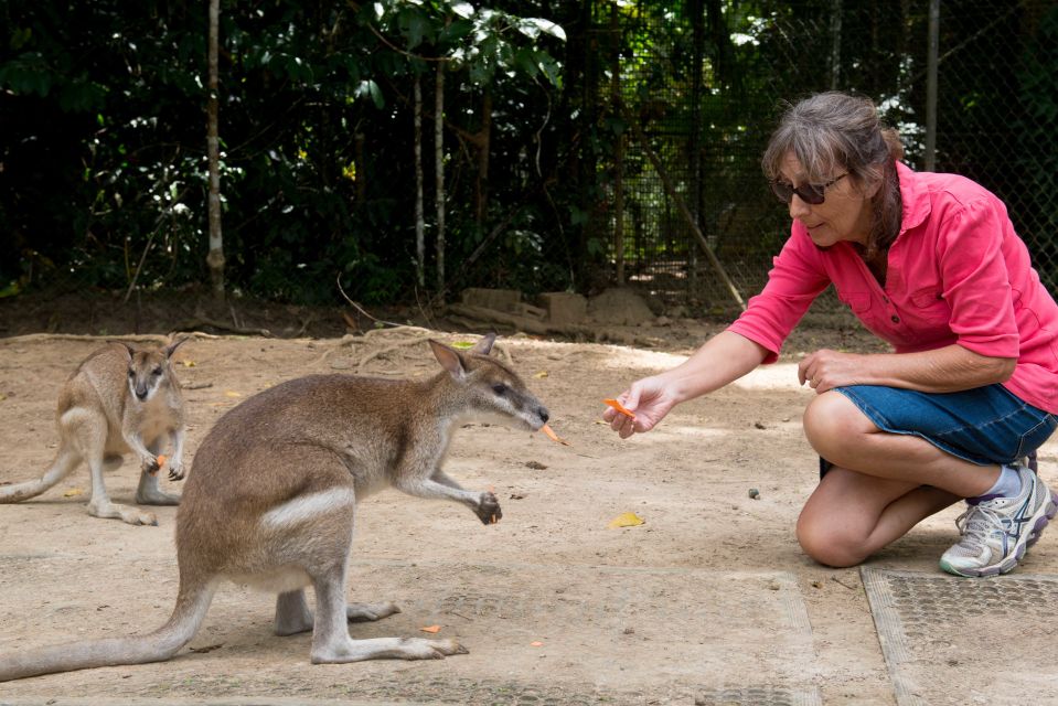 From Cairns: Daintree Rainforest & Cape Tribulation 4WD Tour - Cape Tribulation Beach: beach time plus the lookout bonus