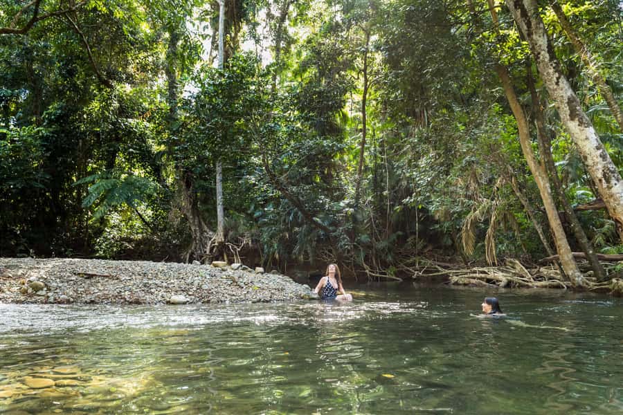 From Cairns: Daintree Rainforest & Cape Tribulation 4WD Tour - Daintree Ice Cream Company: included signature scoop, local fruit flavors