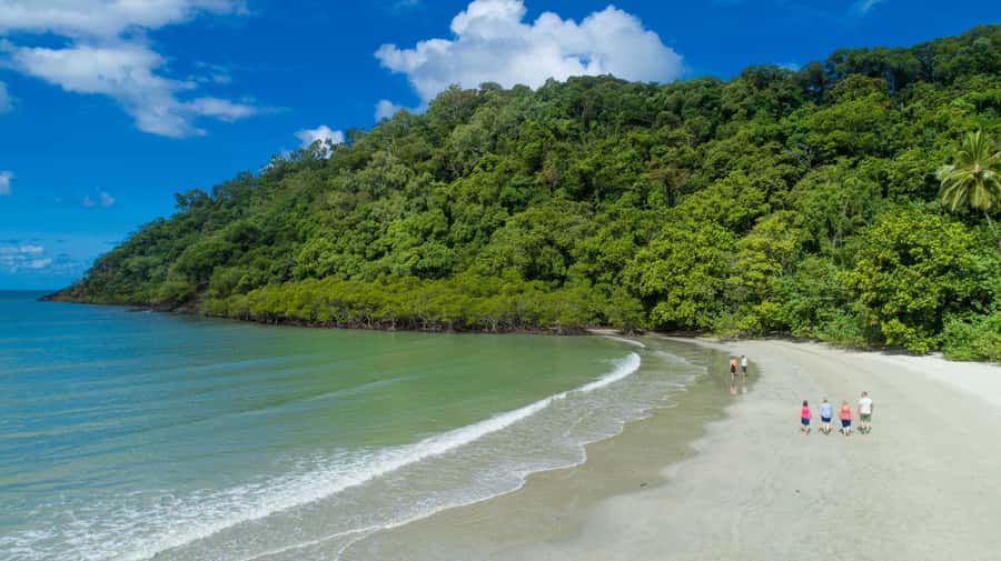 From Cairns: Daintree Rainforest & Cape Tribulation 4WD Tour - The ride back: ferry crossing, timing, and how to be comfortable