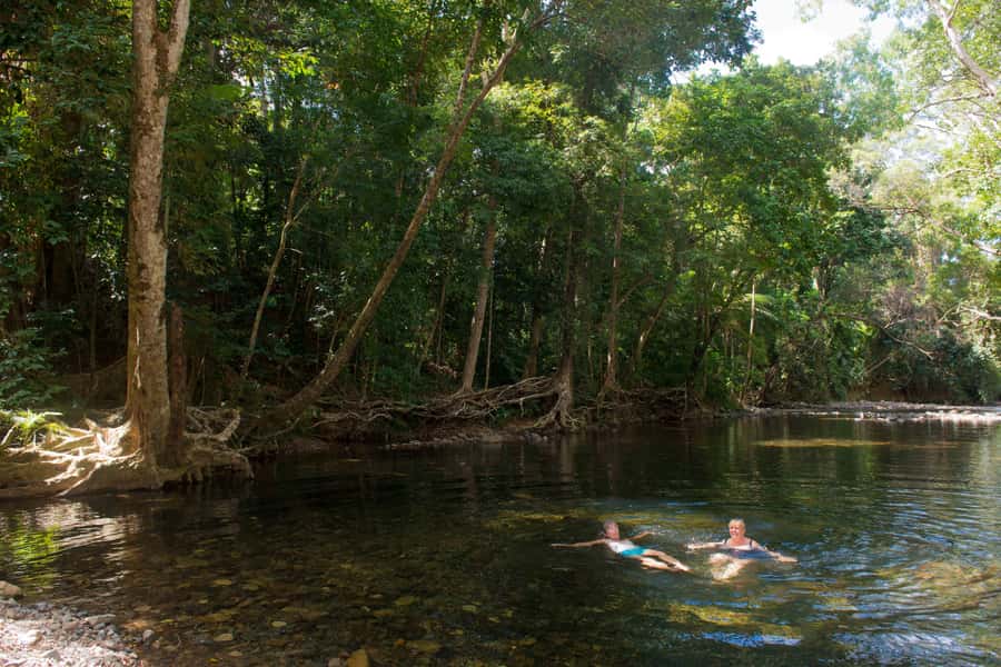 From Cairns: Daintree Rainforest & Cape Tribulation 4WD Tour - Price and value: why $162 can make sense here