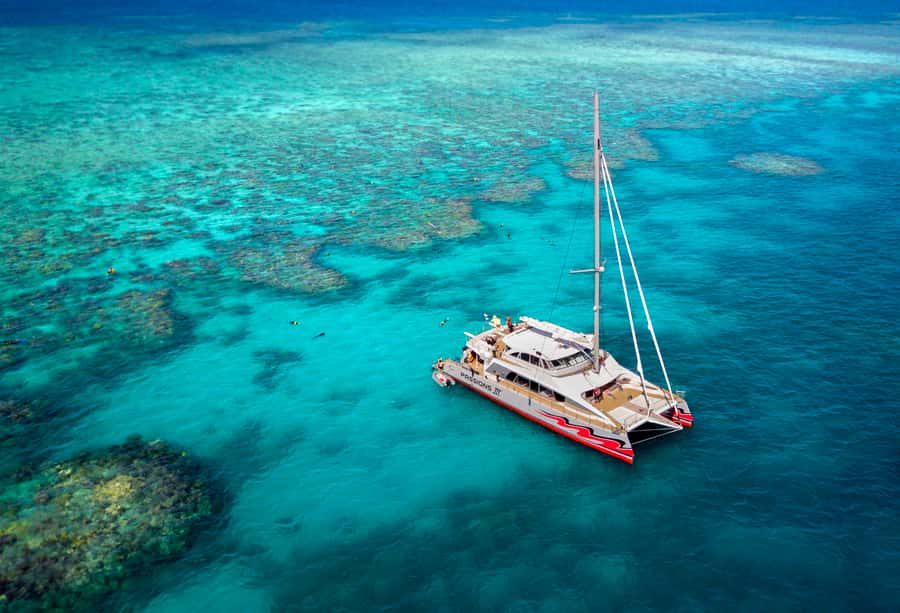 From Cairns: Great Barrier Reef Cruise by Premium Catamaran - Key things I’d zero in on