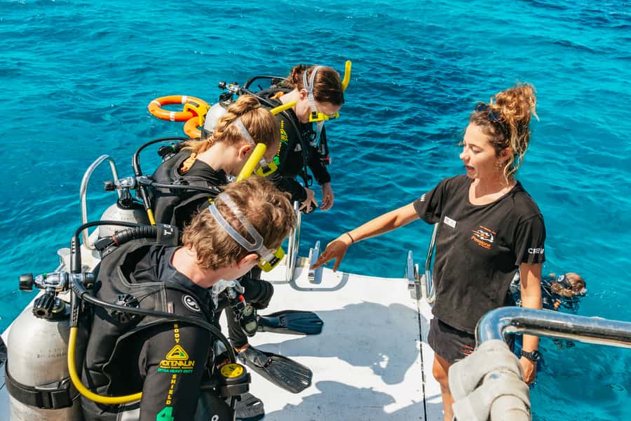 From Cairns: Great Barrier Reef Cruise by Premium Catamaran - Food, snacks, and the bar: plan your day with real expectations