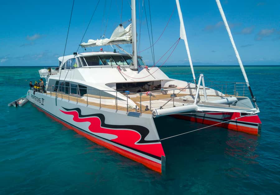 From Cairns: Great Barrier Reef Cruise by Premium Catamaran - How reef stops get chosen: Flynn and Milln or farther north