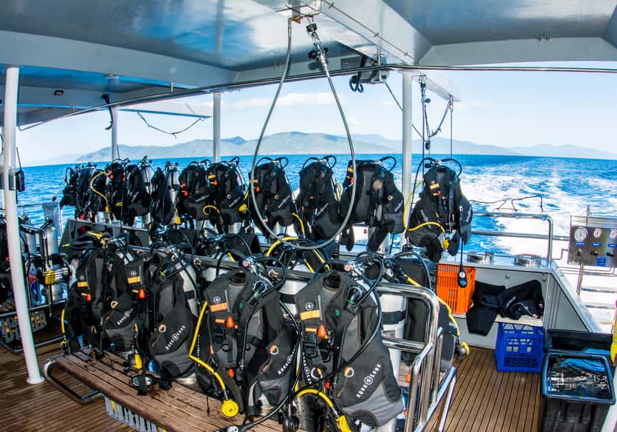 From Cairns: Great Barrier Reef Cruise by Premium Catamaran - Second reef stop: more time to spot turtles, clams, and coral detail