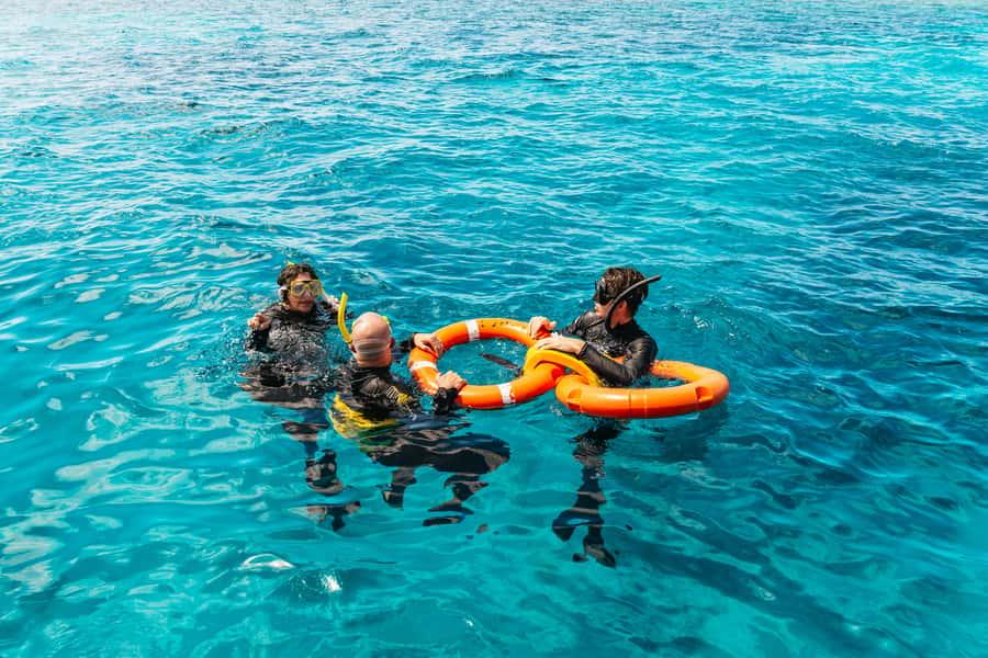 From Cairns: Great Barrier Reef Cruise by Premium Catamaran - A luxury catamaran ride that actually feels like a trip