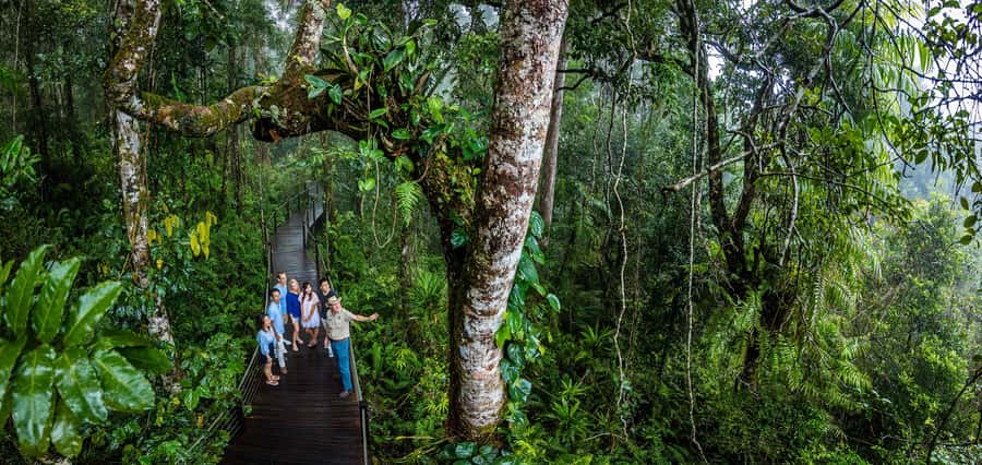 From Cairns: Self-Guided Kuranda Trip with Train and Skyrail - Barron Gorge from above: Skyrail’s canopy ride and waterfall views