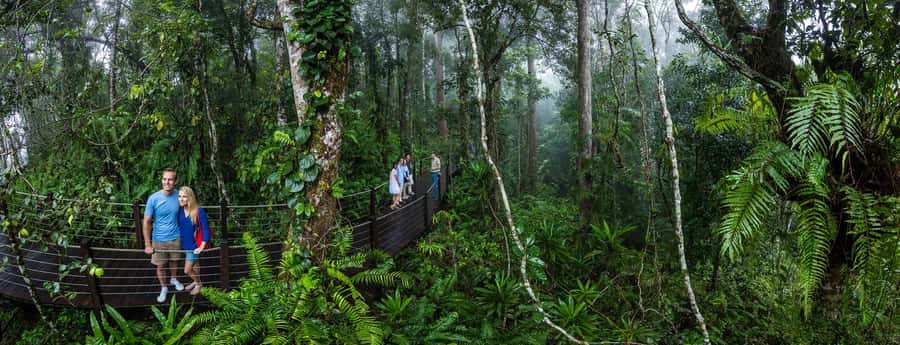 From Cairns: Self-Guided Kuranda Trip with Train and Skyrail - Value at $127: what you’re really paying for
