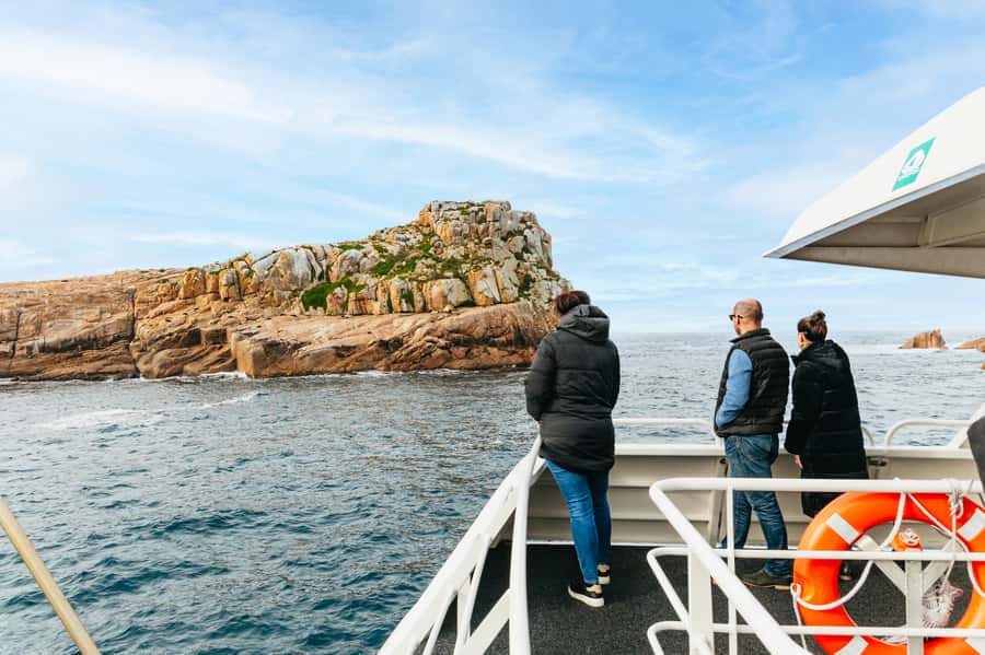 From Coles Bay: Wineglass Bay Cruise with Lunch - Wildlife spotting that feels guided, not random