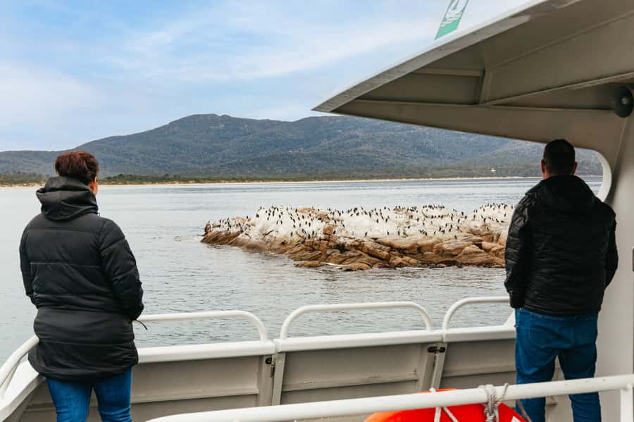 From Coles Bay: Wineglass Bay Cruise with Lunch - Price and value: why $141 can feel fair on this day