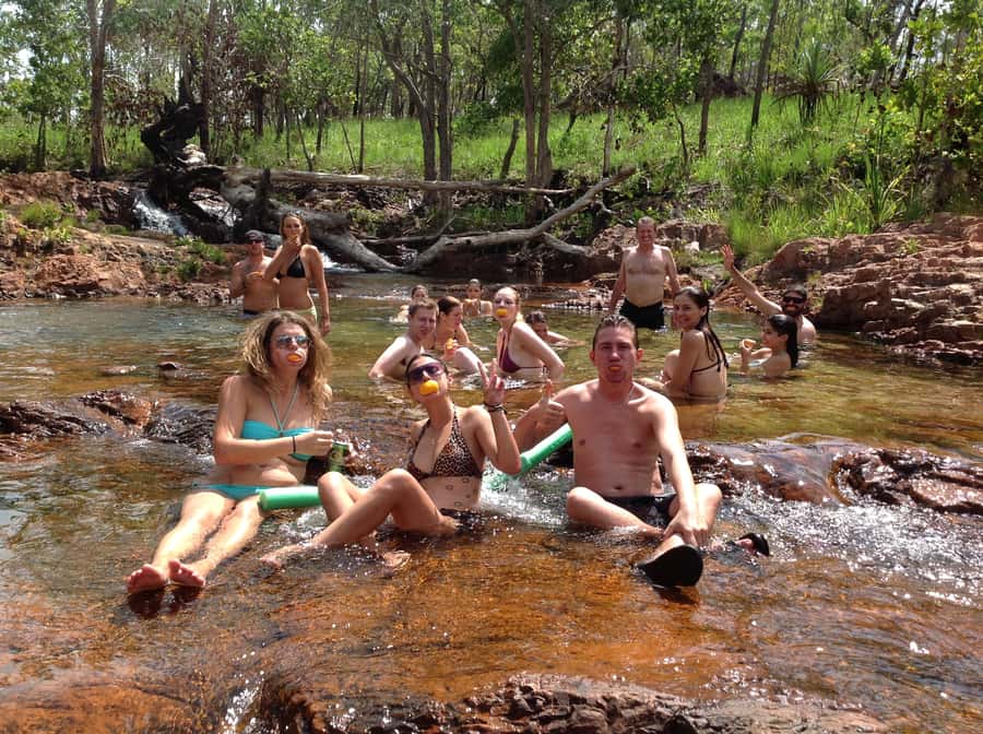From Darwin: Litchfield Park Tour & Jumping Crocodile Cruise - Adelaide River jumping-croc cruise: the real show starts early
