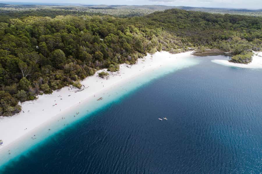 From Hervey Bay: K'gari, Fraser Island Full-Day Coach Tour - Key things I’d focus on before you go
