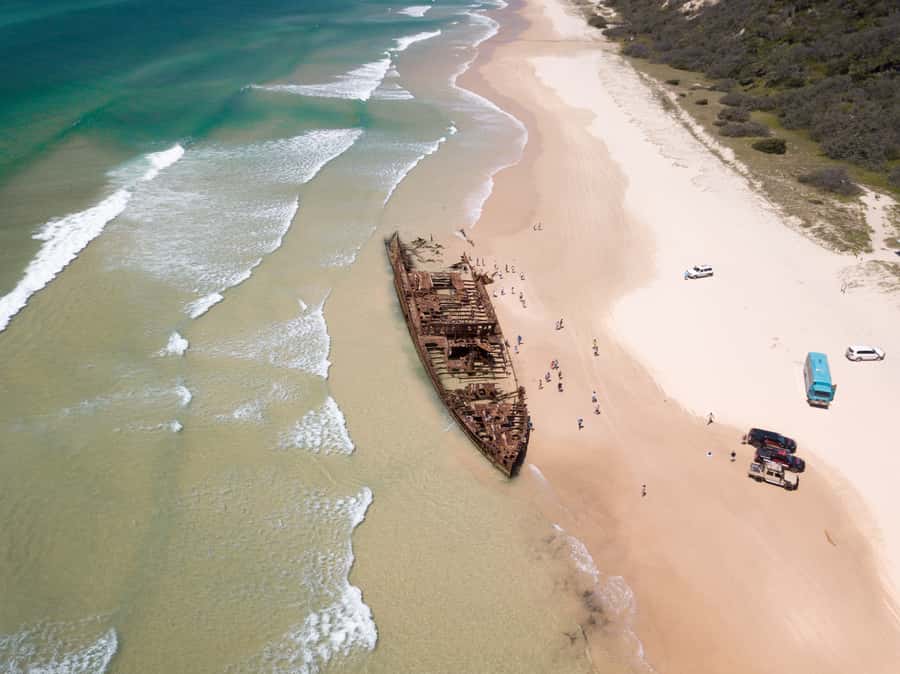 From Hervey Bay: K'gari, Fraser Island Full-Day Coach Tour - Central Station and Wanggoolba Creek boardwalk: the rainforest break you’ll remember