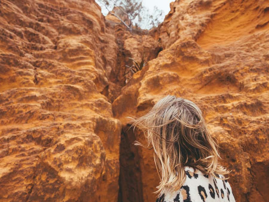 From Hervey Bay: K'gari, Fraser Island Full-Day Coach Tour - Maheno Shipwreck and the photo-stop payoff
