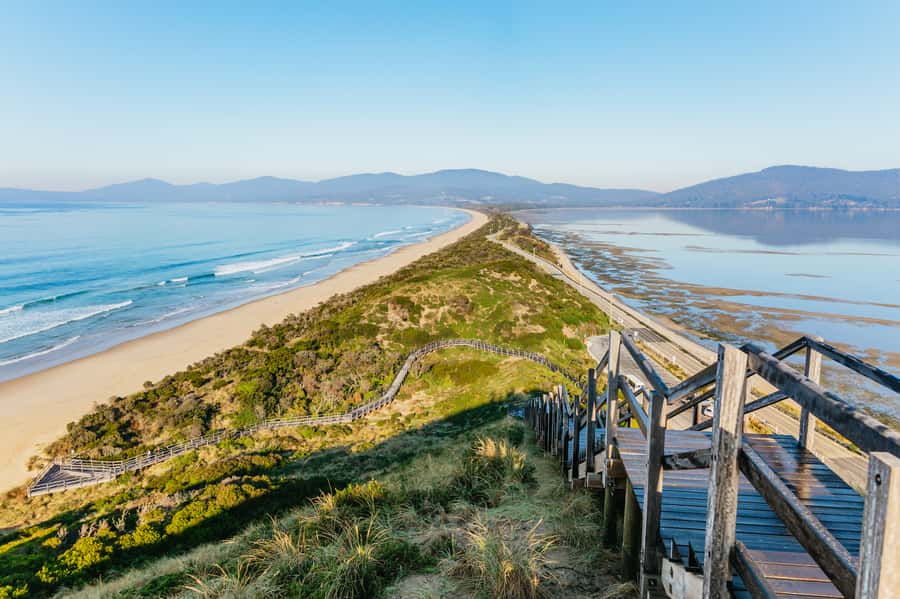 From Hobart/Adventure Bay: Bruny Island Wilderness Cruise - Why Bruny Island’s southern coast is worth the effort