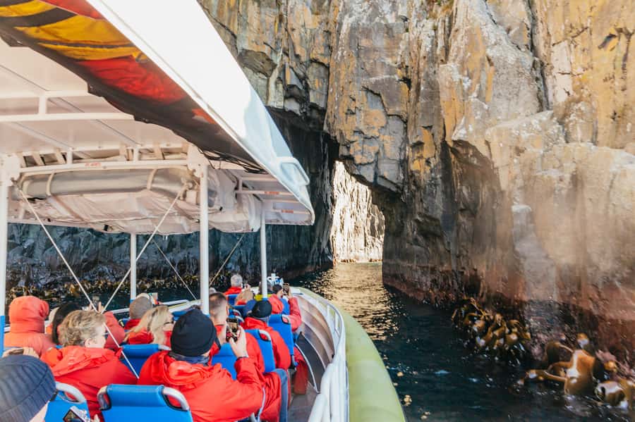 From Hobart/Adventure Bay: Bruny Island Wilderness Cruise - Starting from Hobart vs Adventure Bay: how your day moves