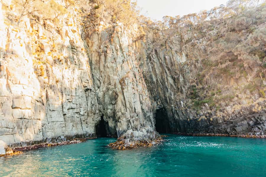 From Hobart/Adventure Bay: Bruny Island Wilderness Cruise - Cruising past Breathing Rock and the sea’s geology show