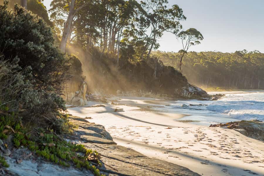 From Hobart: Full-Day Bruny Island Tour with Guide - Key highlights you’ll actually care about