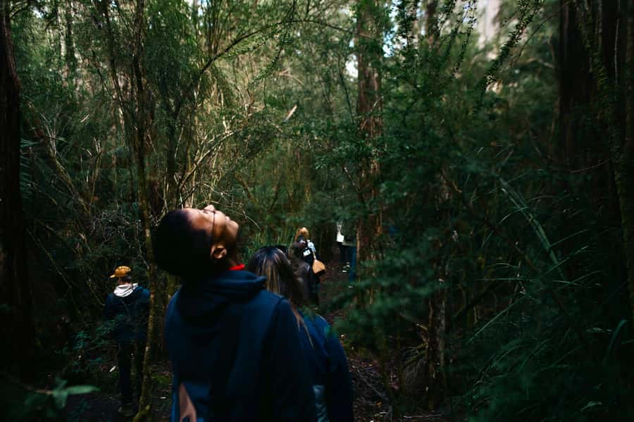 From Hobart: Full-Day Bruny Island Tour with Guide - Why Bruny Island feels like Tasmania’s best bits in one day