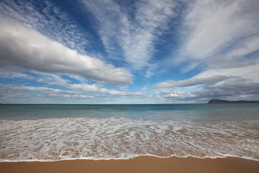 From Hobart: Full-Day Bruny Island Tour with Guide - Award-winning local produce tastings: honey, chocolate, oysters, and how to pace it