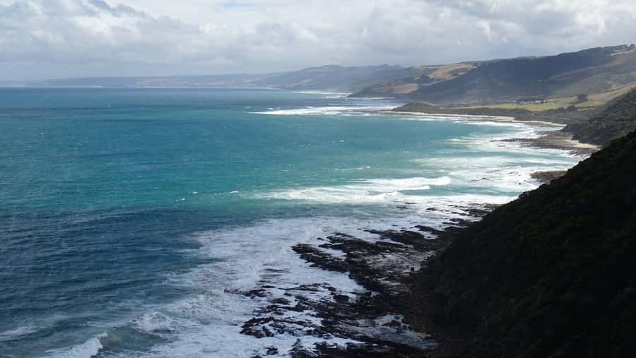 From Melbourne: Great Ocean Road, 12 Apostles, Wildlife Tour - Cape Patton and Apollo Bay: The Midday Rhythm