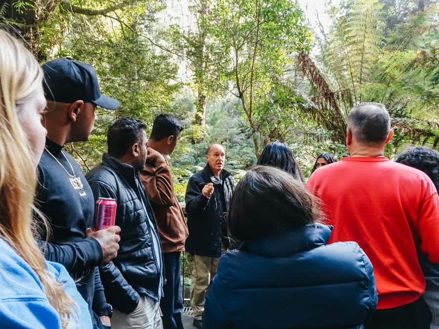 From Melbourne: Great Ocean Road, 12 Apostles, Wildlife Tour - Comfort, Timing, and Simple Tips That Save Your Day