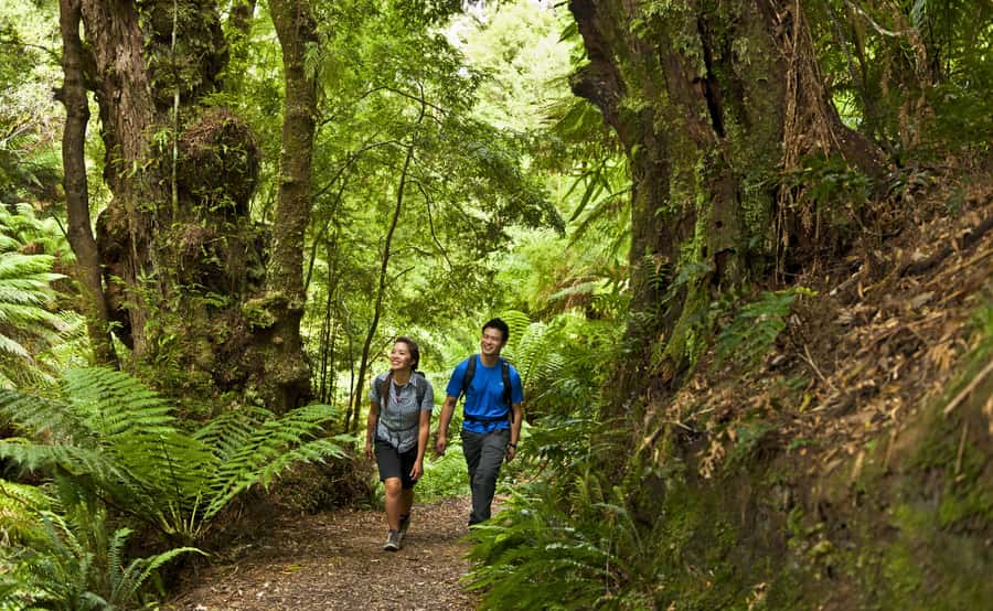 From Melbourne: Great Ocean Road Full-Day Guided Trip - Price and value: what $98 buys you (and what it doesn’t)