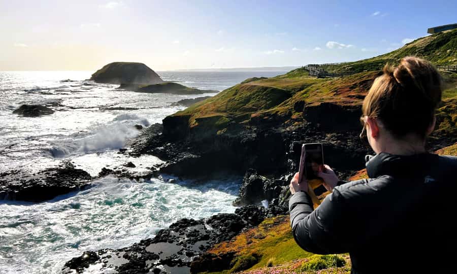 From Melbourne: Phillip Island Penguin Parade Eco Tour - Penguin Parade standard viewing: the sunset moment that makes the whole day worth it