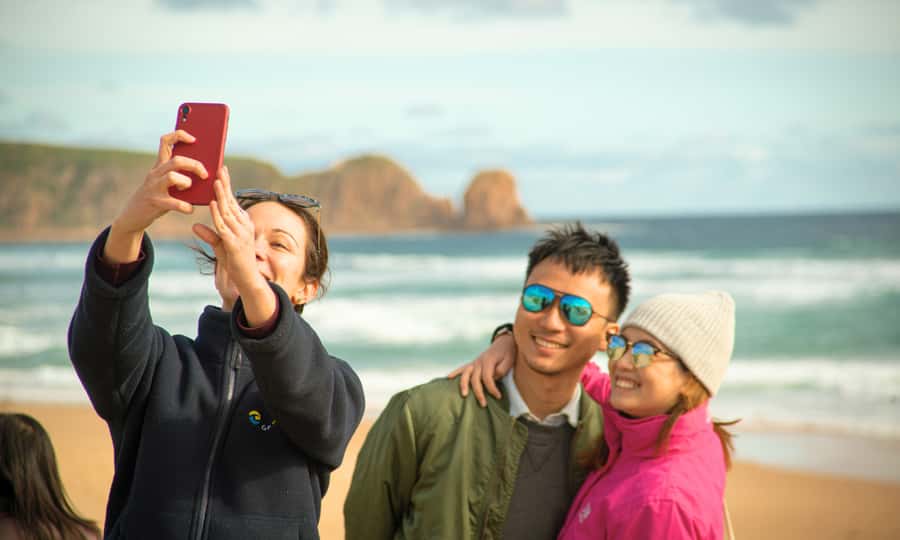 From Melbourne: Phillip Island Penguin Parade Eco Tour - Guides, comfort, and the small things that keep the day from wobbling