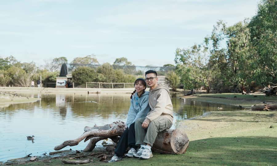 From Melbourne: Phillip Island Penguin Parade Eco Tour - What to bring (and what to avoid) for a smoother day