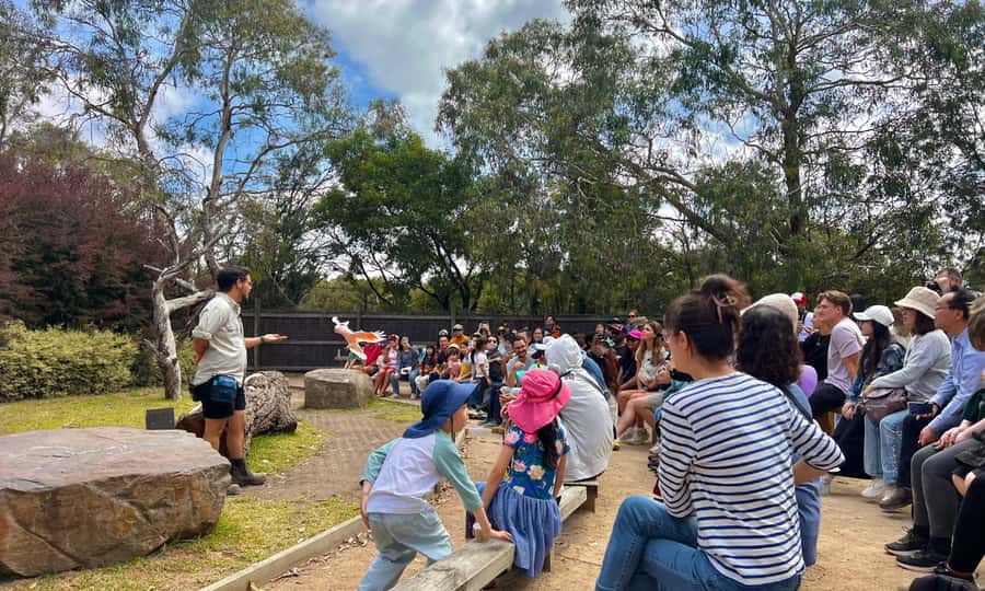 From Melbourne: Phillip Island Penguin Parade Eco Tour - Who should book this Phillip Island Penguin Parade Eco Tour?