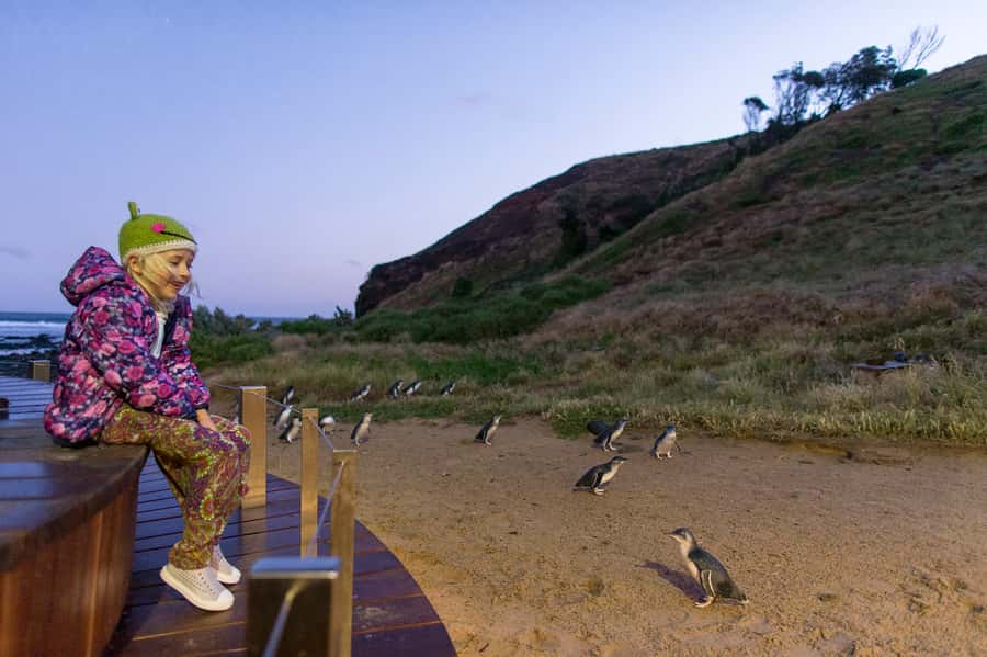 From Melbourne: Phillip Island Penguin Parade & Koalas Tour - Cowes stop: where you eat when the day has a schedule