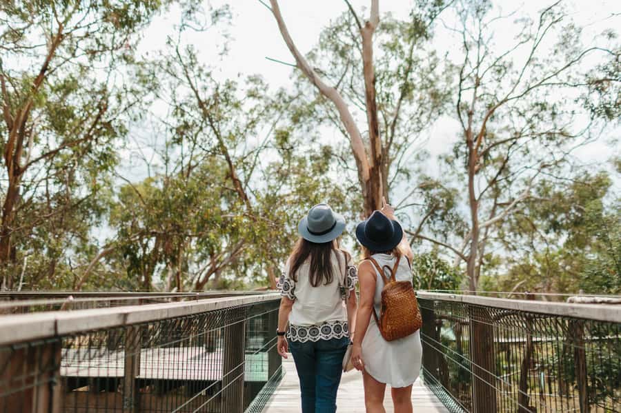 From Melbourne: Phillip Island Penguin Parade & Koalas Tour - Penguin Parade Visitor Centre: learn the story before the big moment