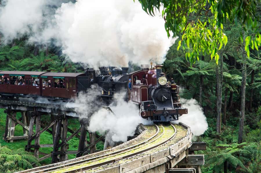 From Melbourne: Puffing Billy and Penguin Parade Combo Tour - Key things to know before you go
