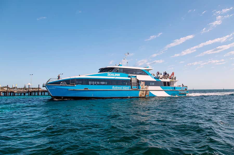 From Perth or Fremantle: Rottnest Island Ferry and Bus Tour - Getting your bearings on the island: using the free time well