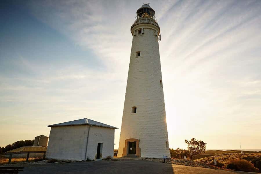 From Perth or Fremantle: Rottnest Island Ferry and Bus Tour - What to bring (and what you can skip)