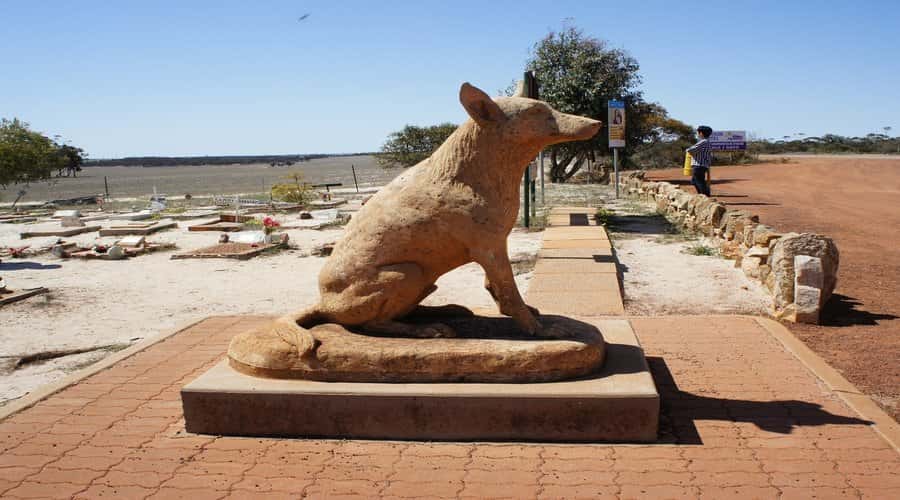 From Perth: Wave Rock, York and Aboriginal Cultural Tour - Country-road stops you’ll remember: Dog Cemetery and Hippo’s Yawn