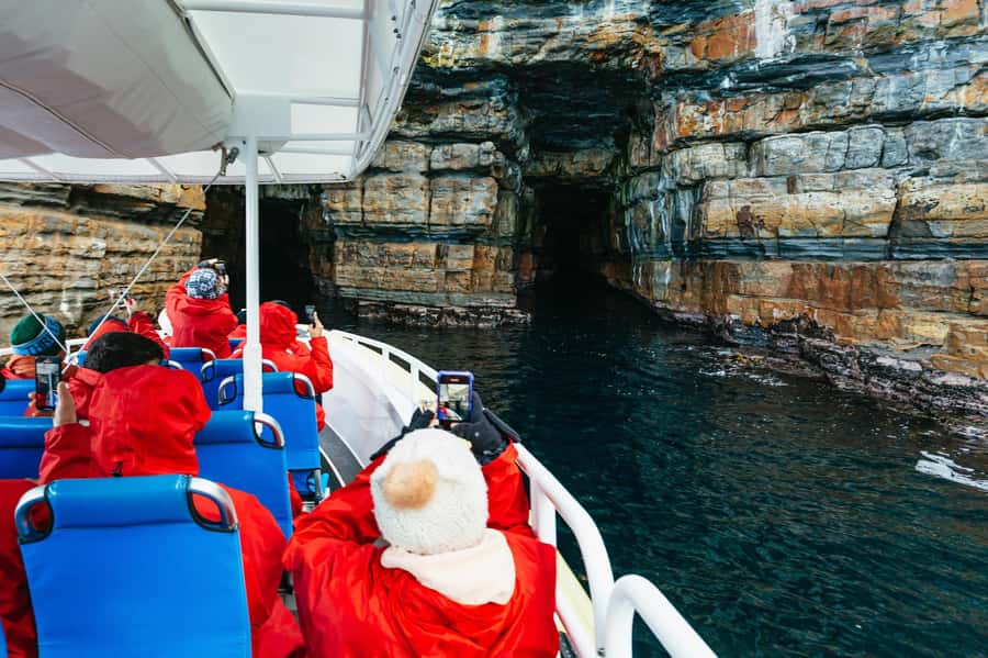 From Port Arthur: Tasman Island Wilderness Cruise - What the boat setup means for your comfort (and your view)