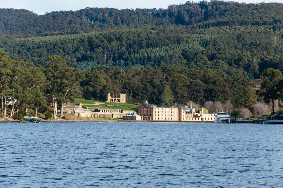 From Port Arthur: Tasman Island Wilderness Cruise - Captains and deck crew: why safety and animal encounters work together