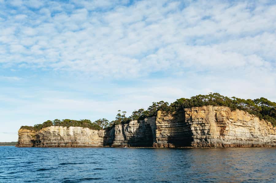 From Port Arthur: Tasman Island Wilderness Cruise - Price and value: is $127 for 3 hours a fair deal?