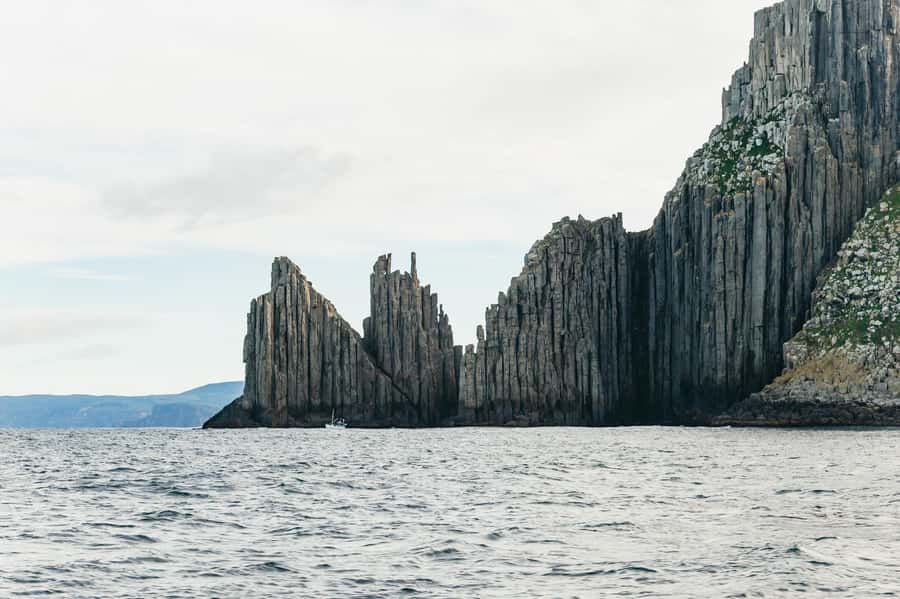 From Port Arthur: Tasman Island Wilderness Cruise - When the ocean cooperates (and when it forces a plan change)
